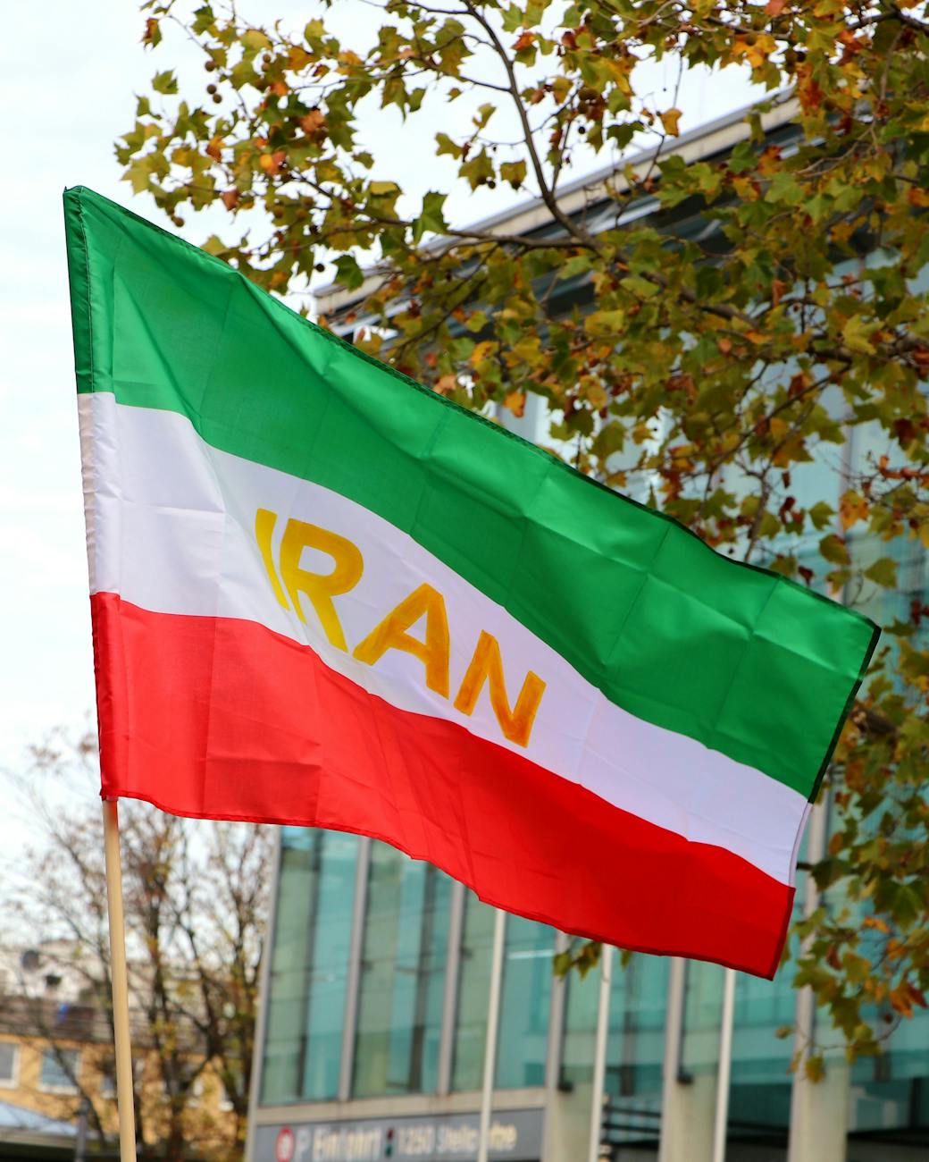 flag of iran